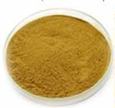Saposhnikoviae Root Powder(FangFengFen)