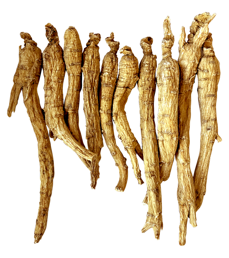 American ginseng(Small)