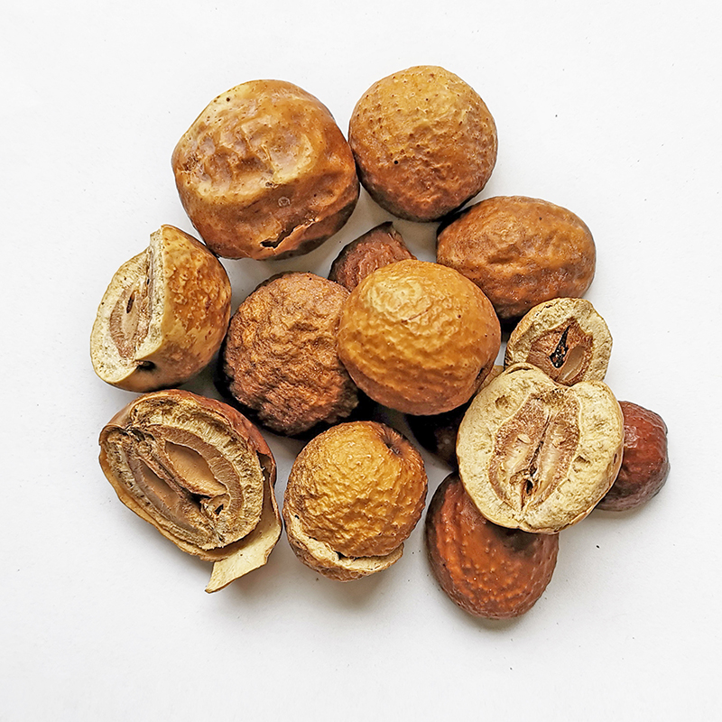 Toosendan Fruit （ChuanLianZi）