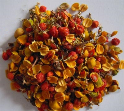 Silktree Flowers （HeHuanHua）