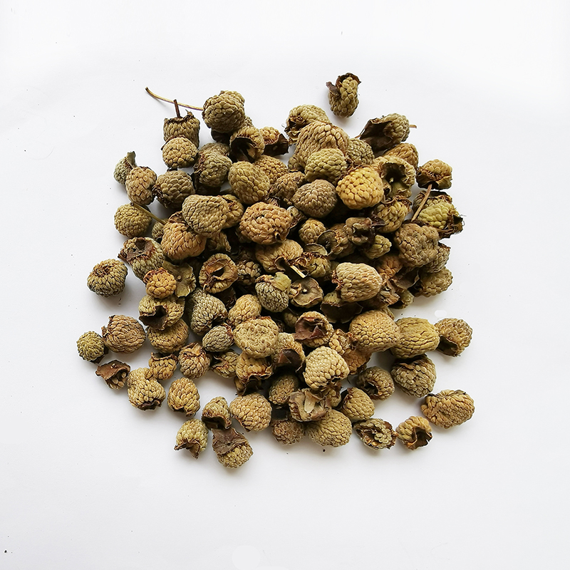 Rubus （FuPenZhi）