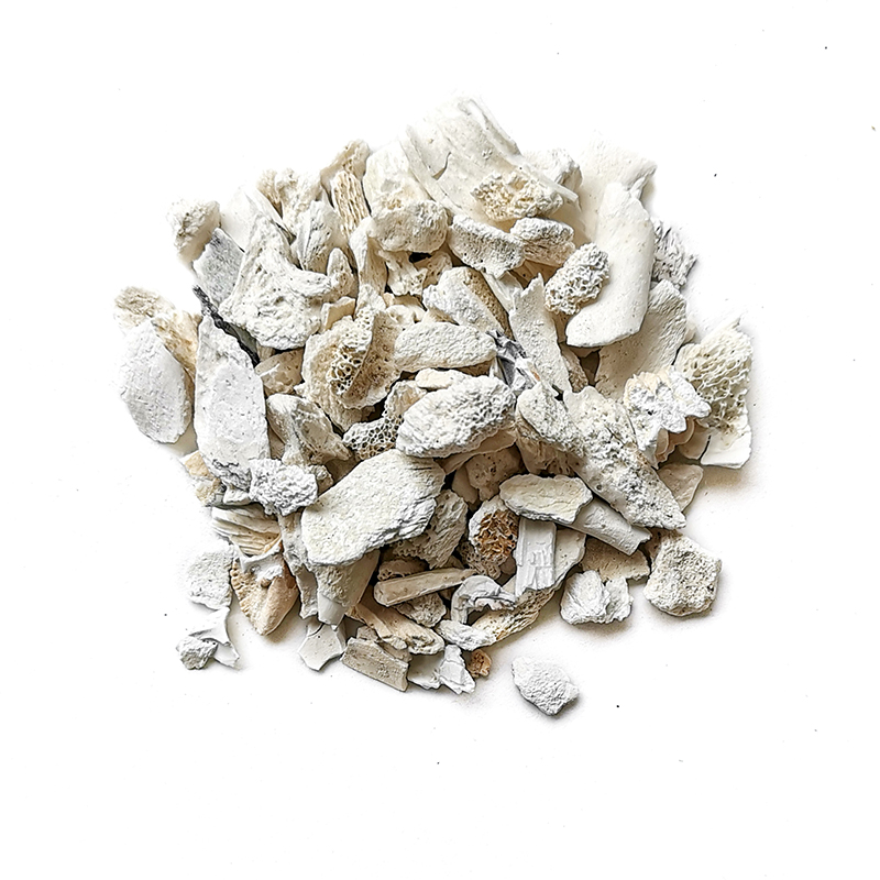 Dragon Bone （ShengLongGu）