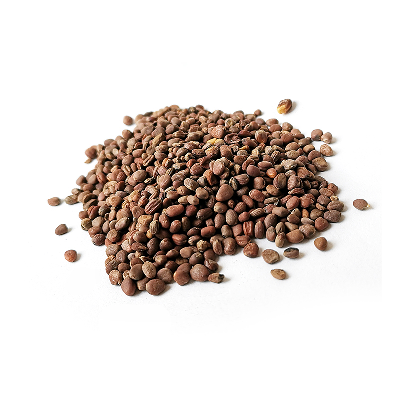 Radish Seed (LaiFuZi)