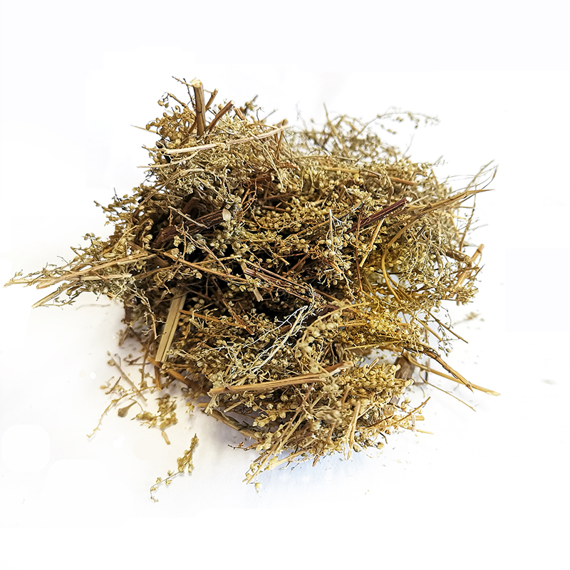 Sweet Wormwood （QingHao）
