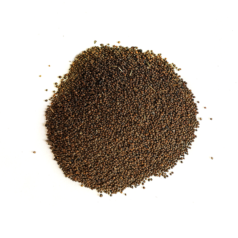 Perilla Seed （ZiSuZi）
