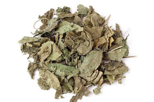 White Mulberry Leaf （SangYe）
