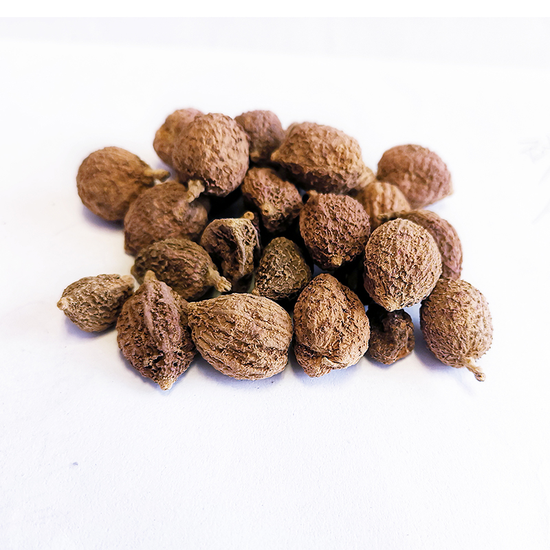 Amomum Fruit (ShaRen)
