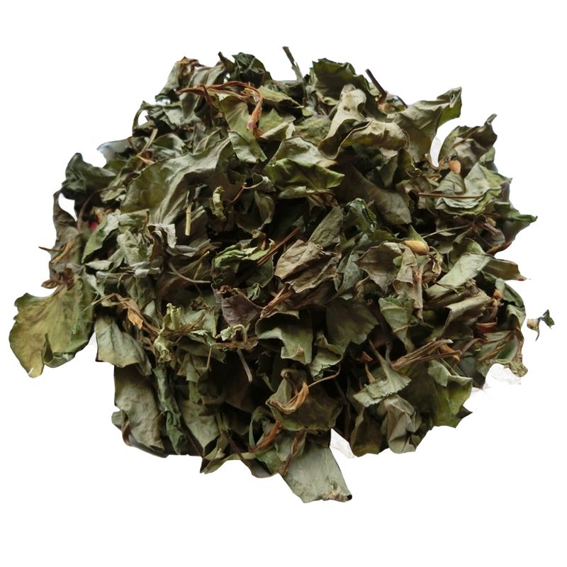 Houttuynia (YuXingCao)
