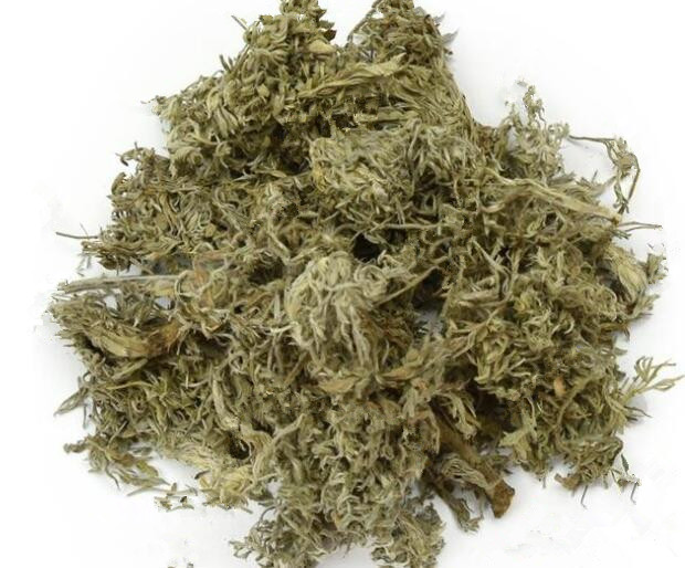 Virgate Wormwood （YinChen）