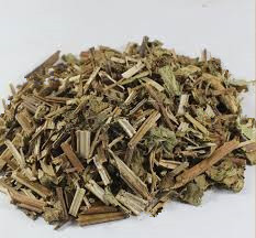 Bugleweed (ZeLan)