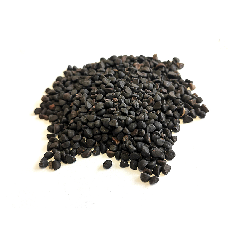 Morning Glory Seeds (QianNiuZi)