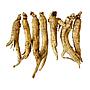 American ginseng(Medium)
